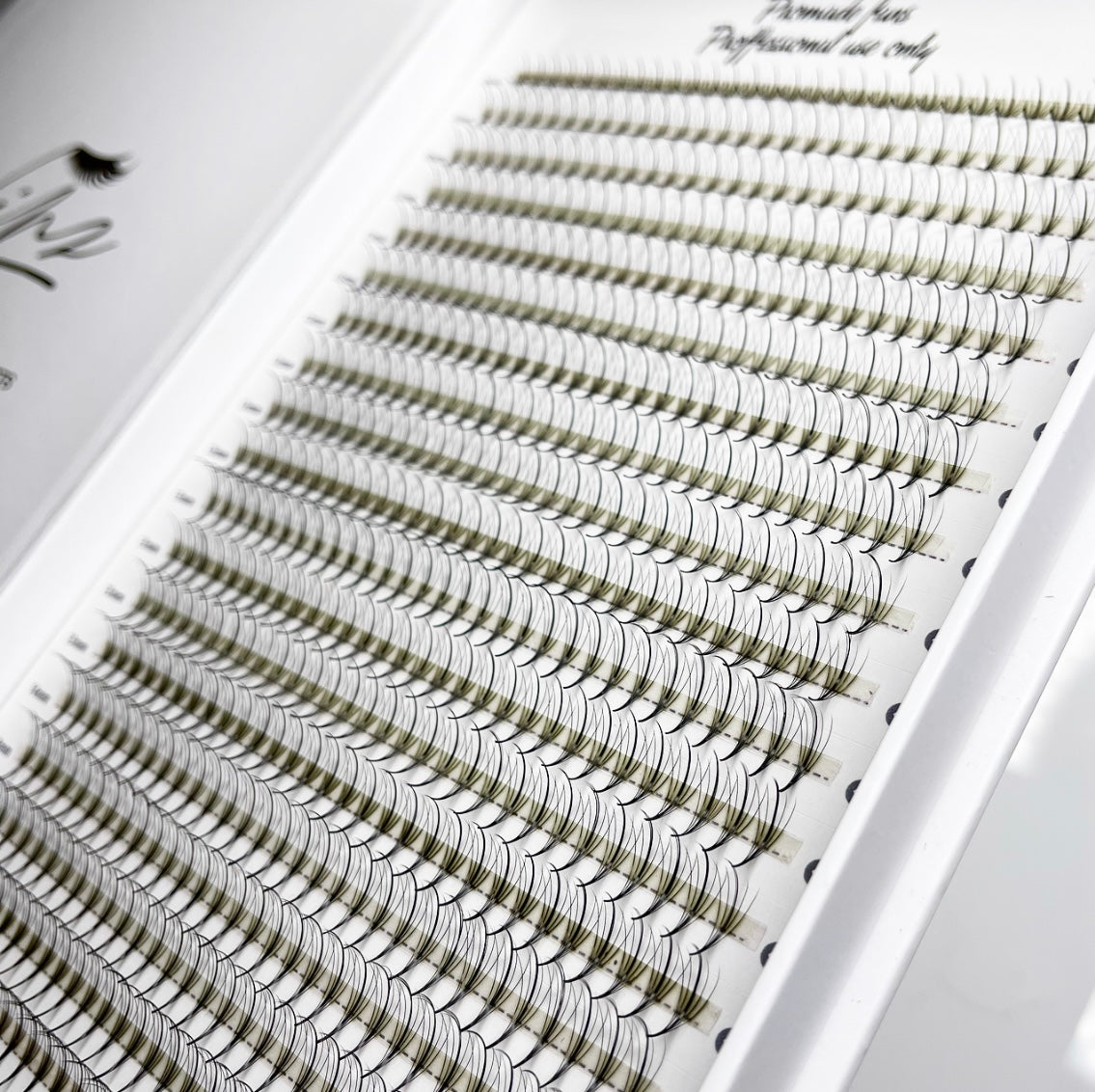 Wispy Pro-made Fans - Mixed Length - XL Tray (600 Fans)