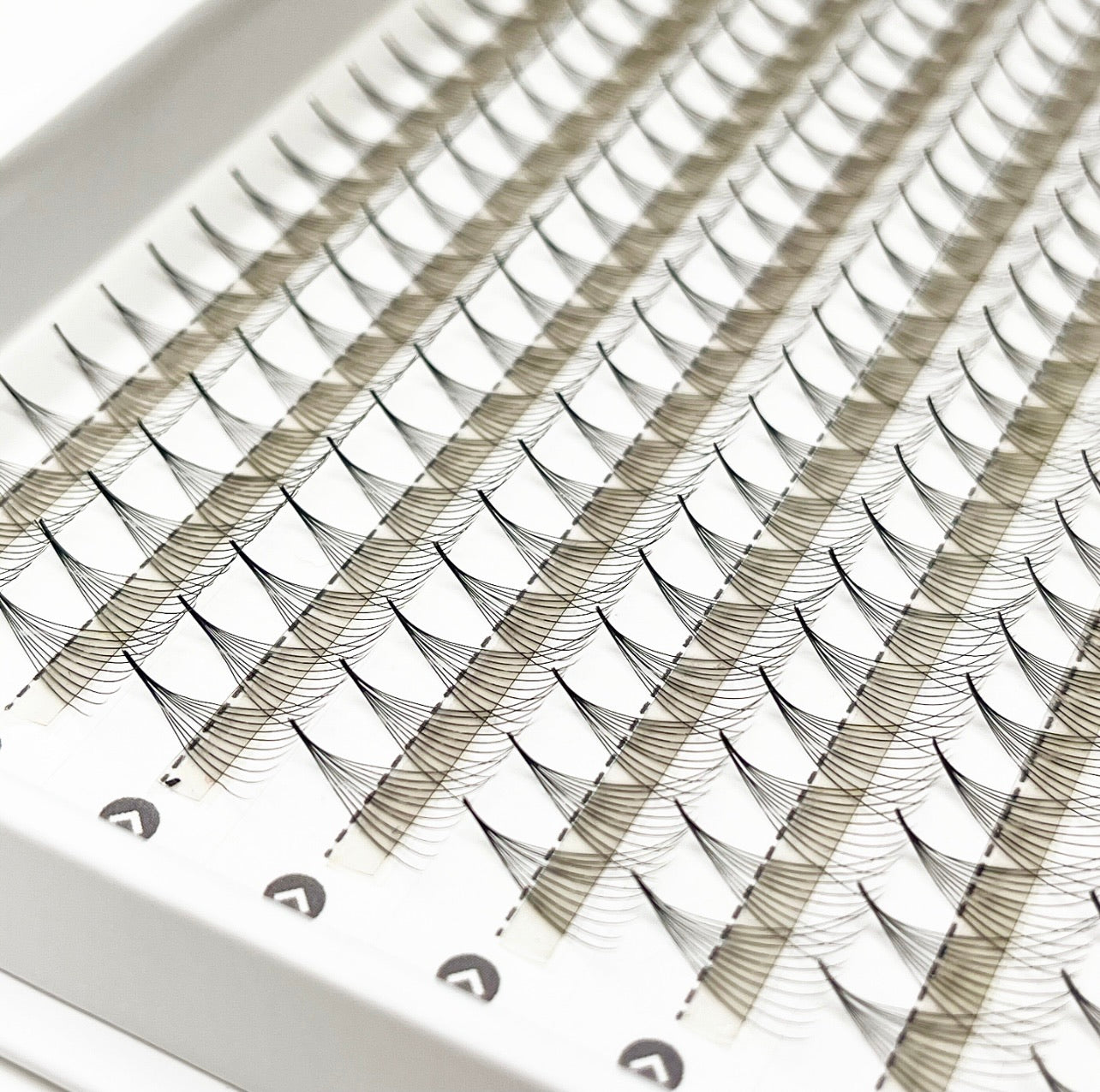 Winz Pro-Made Fans - Mixed Length - XL Tray (500-600 Fans)